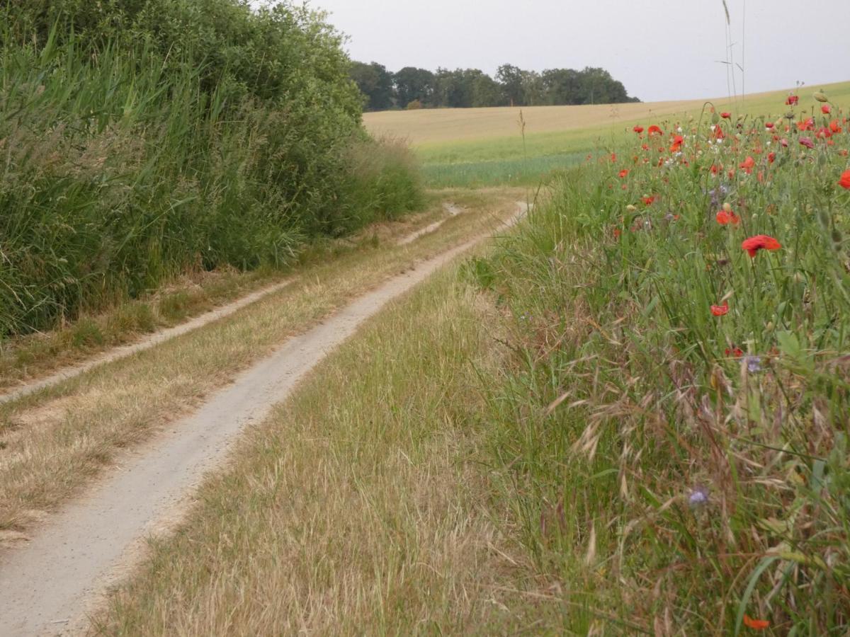 Mueritzbrise 1 Leilighet Ludorf Eksteriør bilde